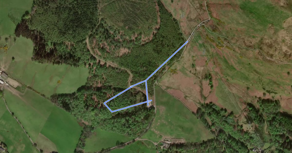 Маршрут Whitehill Walk на спутниковом снимке