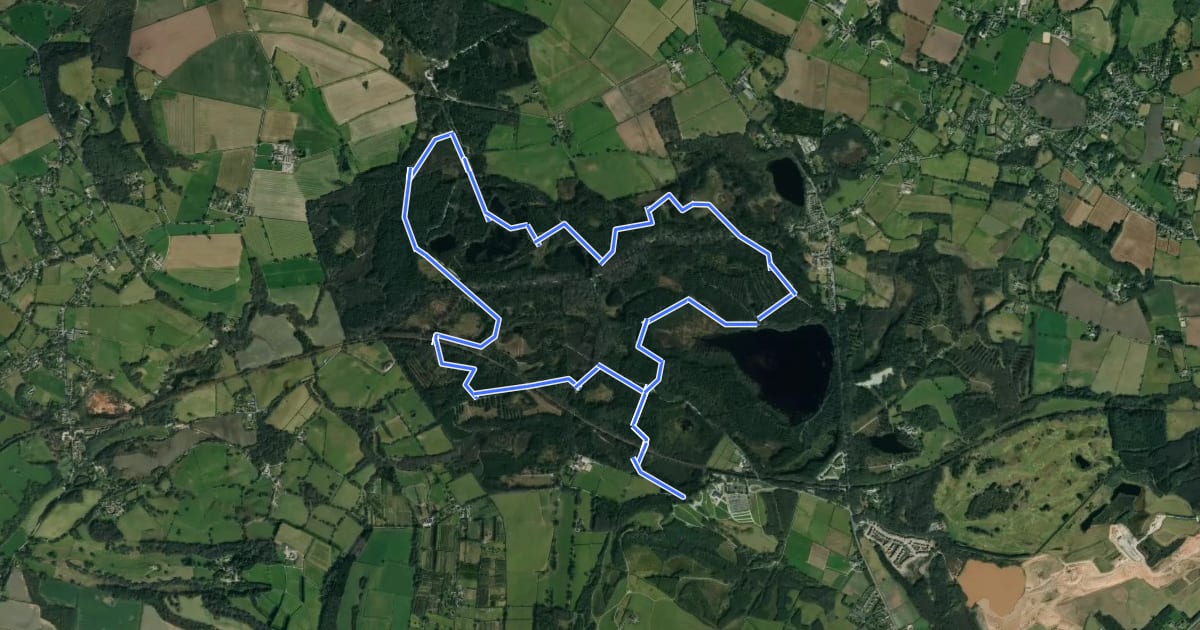 Маршрут Whitemoor Trail на спутниковом снимке