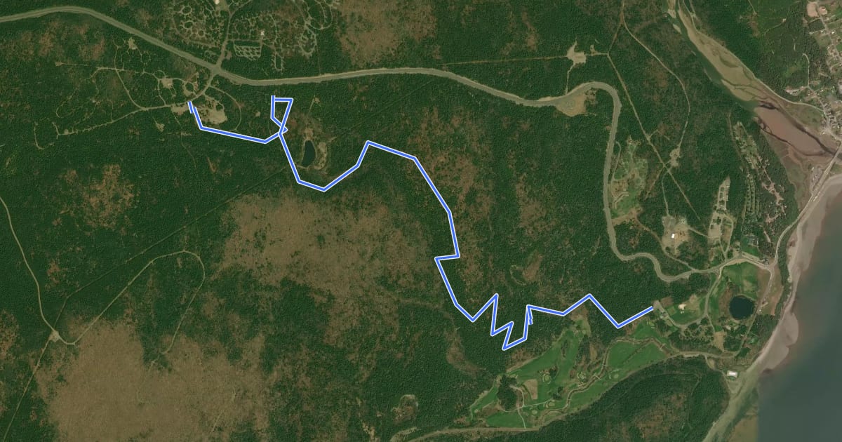 Маршрут Whitetail Trail на спутниковом снимке