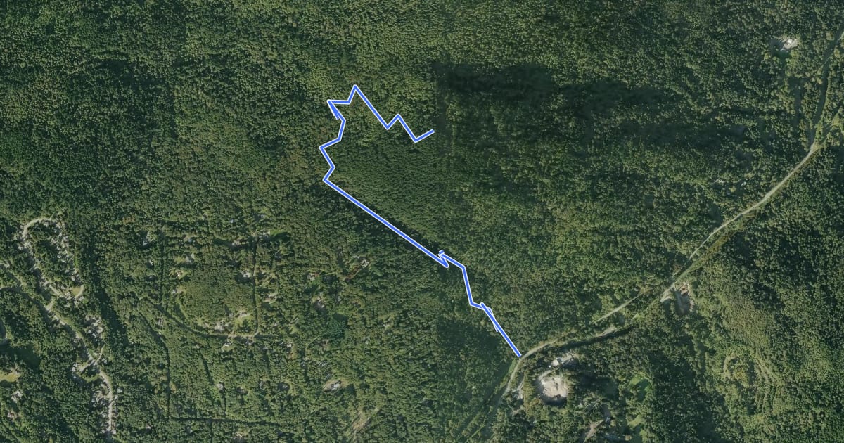 Маршрут Whittaker Wilderness Peak Trail на спутниковом снимке