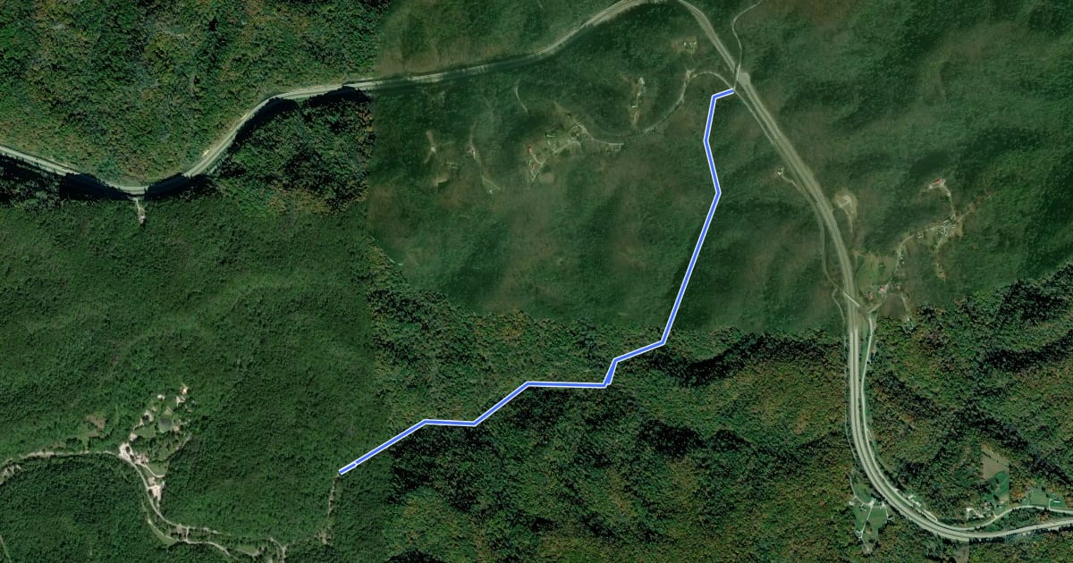 Маршрут Whittleton Branch Trail #216 на спутниковом снимке