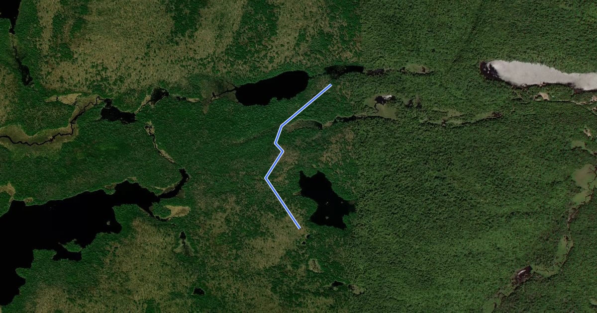 Маршрут Whortleberry Pond Trail на спутниковом снимке