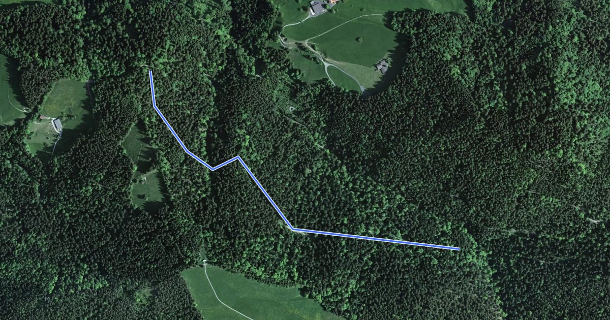 Маршрут Widenwald - Gottschalkenberg Waldstr. - fixme на спутниковом снимке