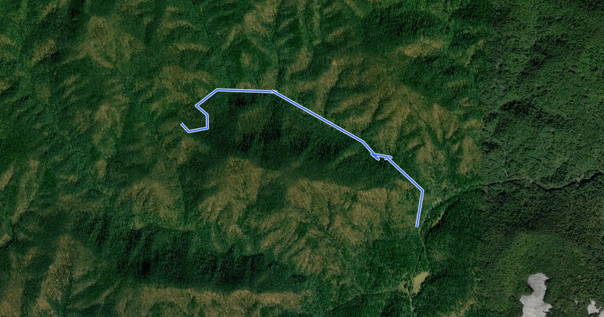 Маршрут Widows Creek Trail на спутниковом снимке