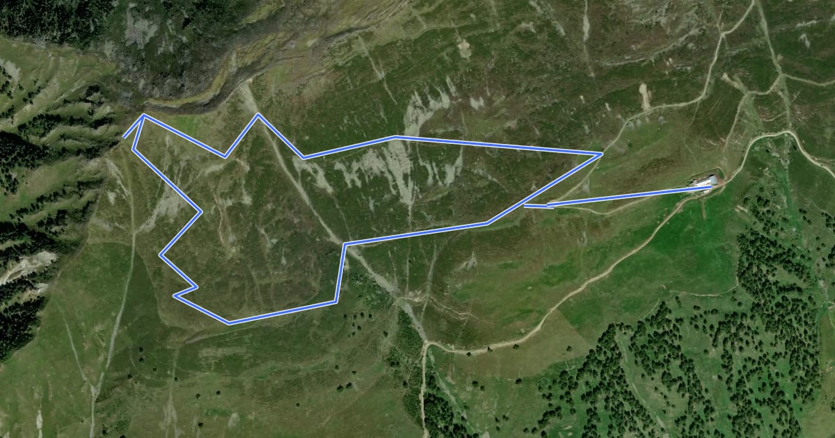 Маршрут Wieges Rundweg на спутниковом снимке
