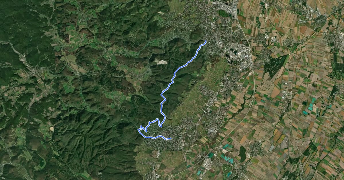 Маршрут Wienerwald-IML Wanderweg 2 Mödling - Baden на спутниковом снимке
