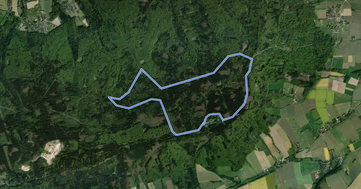 Маршрут Wierser Tor-Rundweg на спутниковом снимке