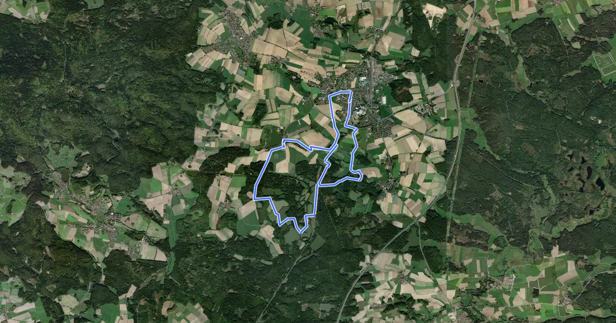 Маршрут Wiesau Wanderweg 4 на спутниковом снимке