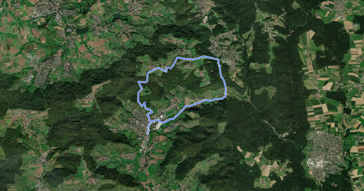 Маршрут Wieselrundwanderweg 1 на спутниковом снимке