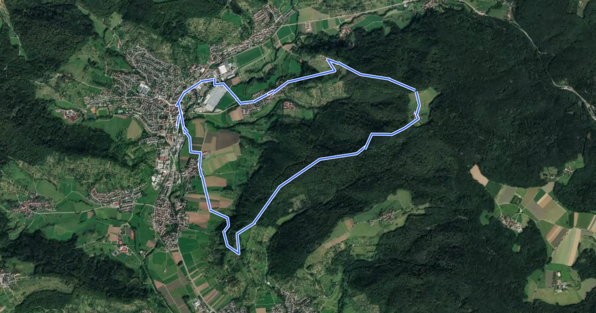 Маршрут Wieselrundwanderweg 2 на спутниковом снимке