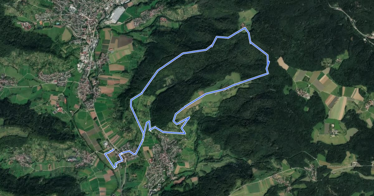 Маршрут Wieselrundwanderweg 3 на спутниковом снимке