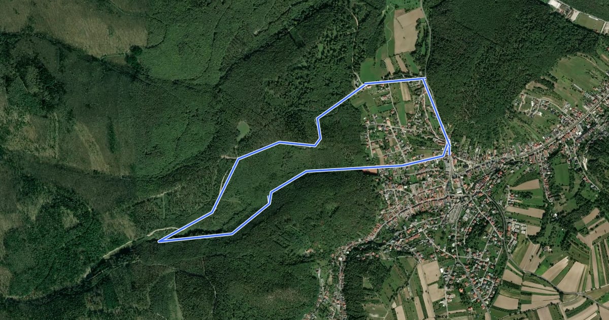 Маршрут Wiesen - Blumaugraben Rundwanderweg на спутниковом снимке