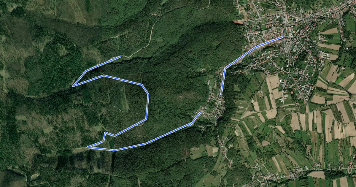 Маршрут Wiesen - Kohlstattgraben Wanderweg на спутниковом снимке