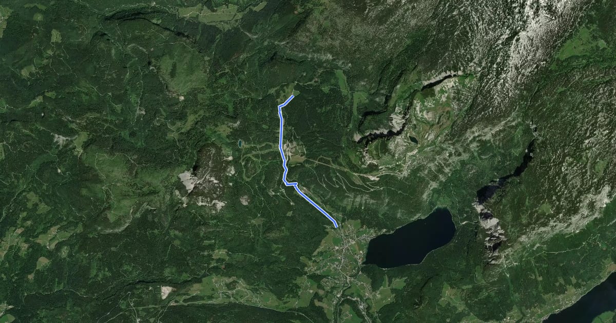Маршрут Wiesenweg Altaussee - Blaa Alm на спутниковом снимке