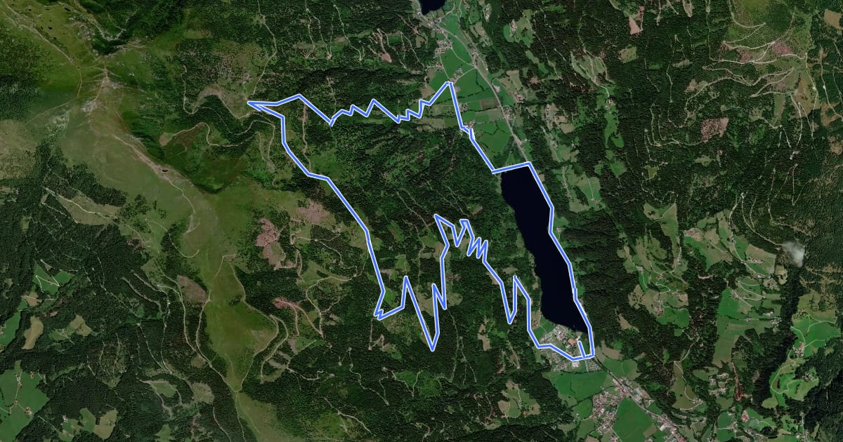 Маршрут Wieserwald-Tour | nock/bike Tour 19 на спутниковом снимке