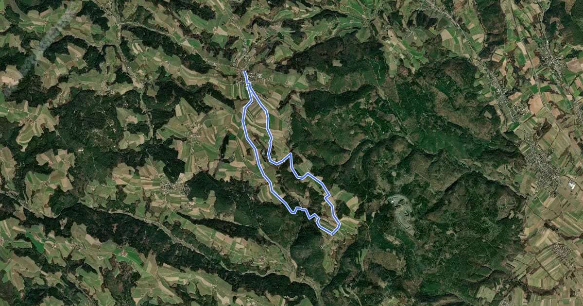 Маршрут Wiesmath - Lehen - Sommerhäuser - Schwarzenberg - Stadtweg - Wiesmath на спутниковом снимке
