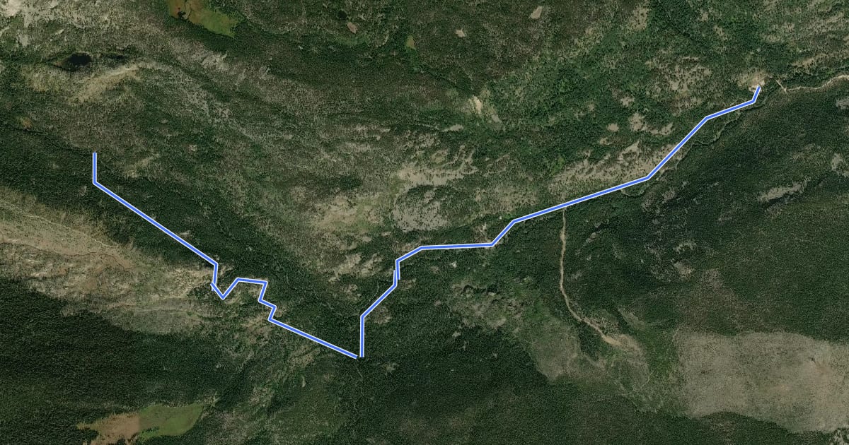 Маршрут Wild Basin Trail на спутниковом снимке