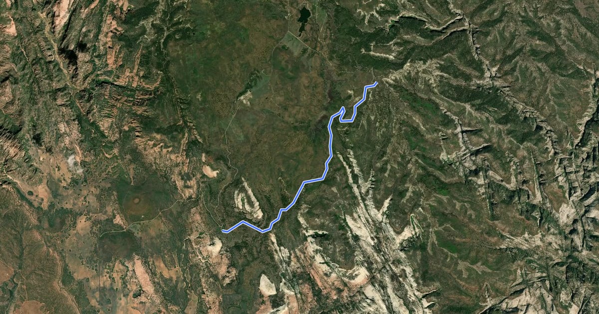 Маршрут Wildcat Canyon Trail на спутниковом снимке