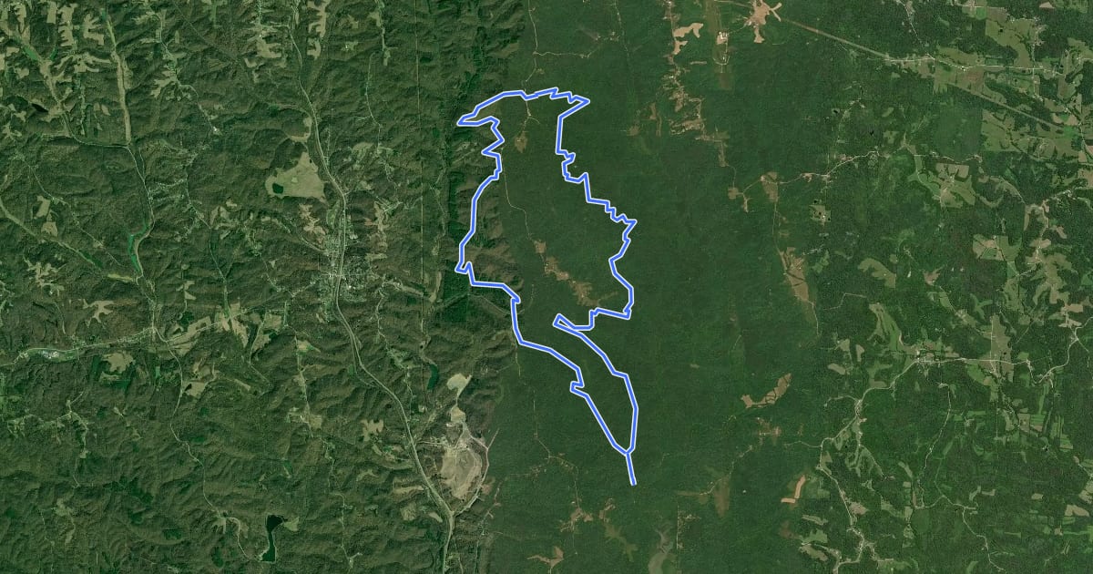 Маршрут Wildcat Hollow Trail на спутниковом снимке