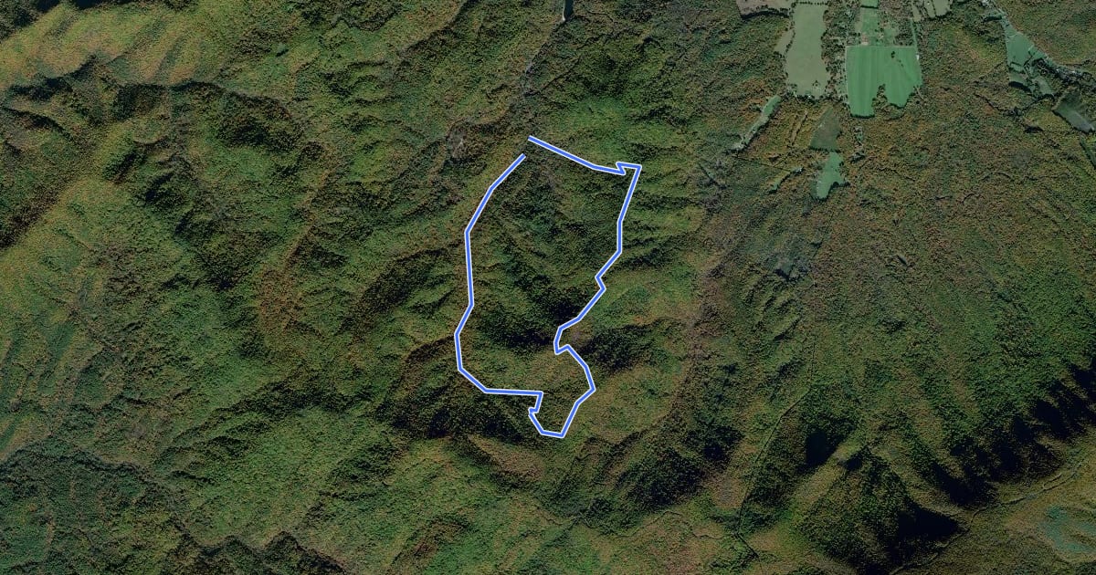 Маршрут Wildcat Mountain Trail на спутниковом снимке