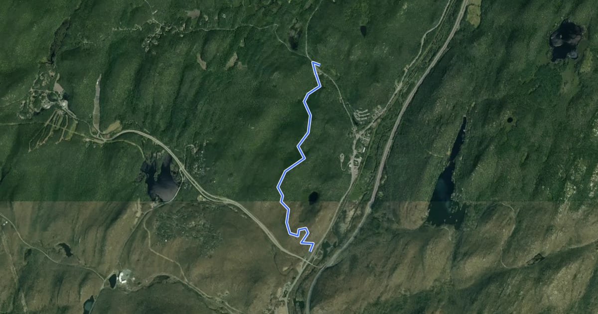 Маршрут Wildcat Mountain Trail на спутниковом снимке