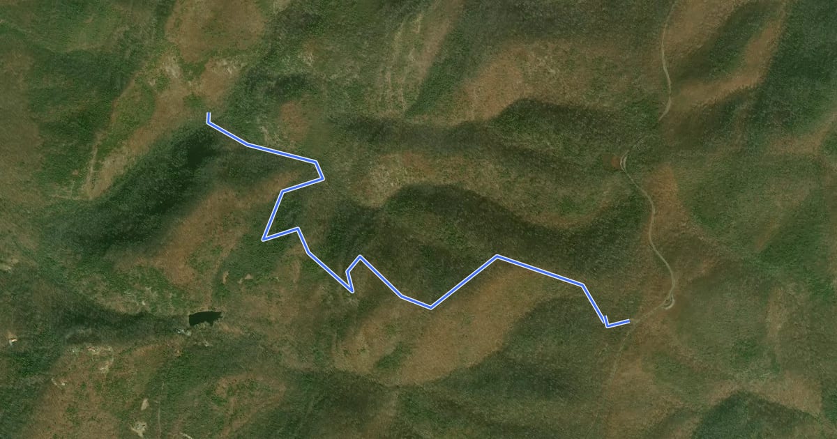 Маршрут Wildcat Ridge Trail на спутниковом снимке