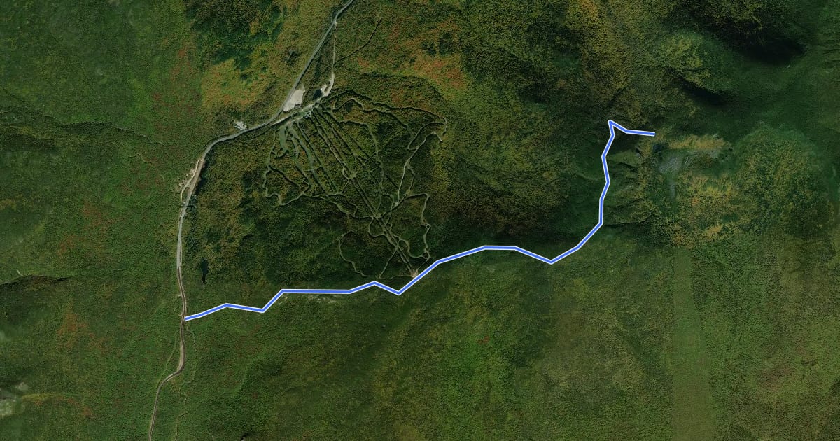 Маршрут Wildcat Ridge Trail на спутниковом снимке