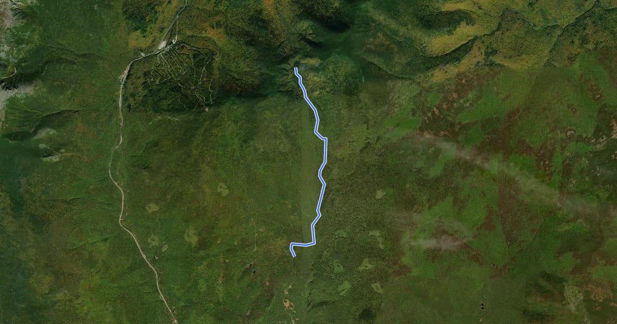 Маршрут Wildcat River Trail на спутниковом снимке