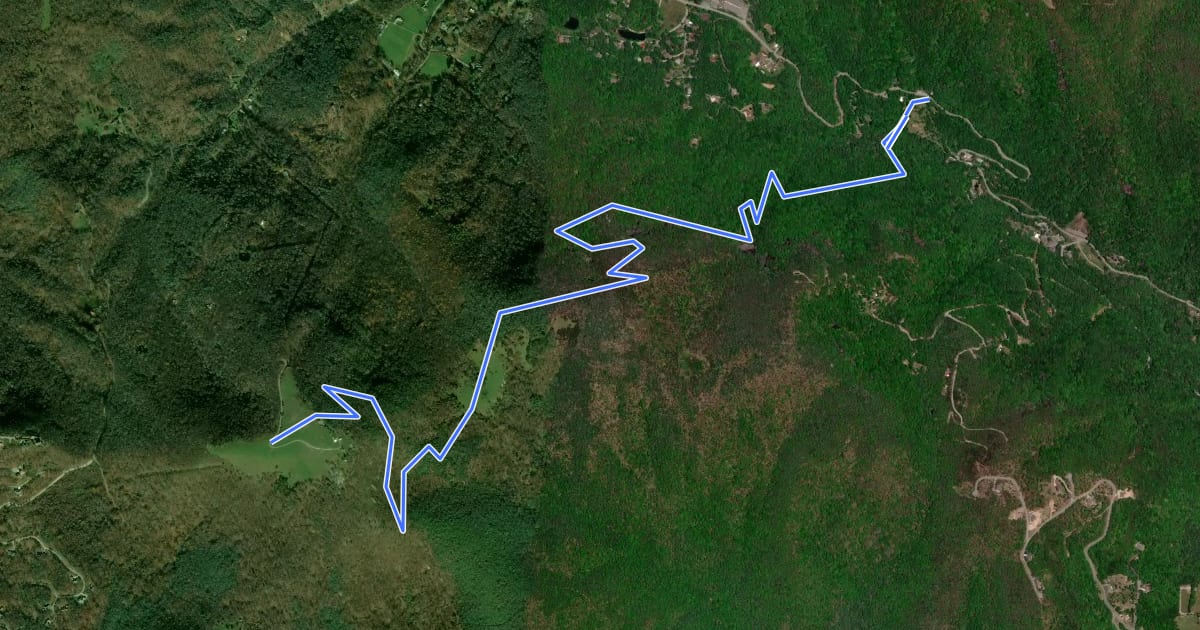 Маршрут Wildcat Rock Trail на спутниковом снимке