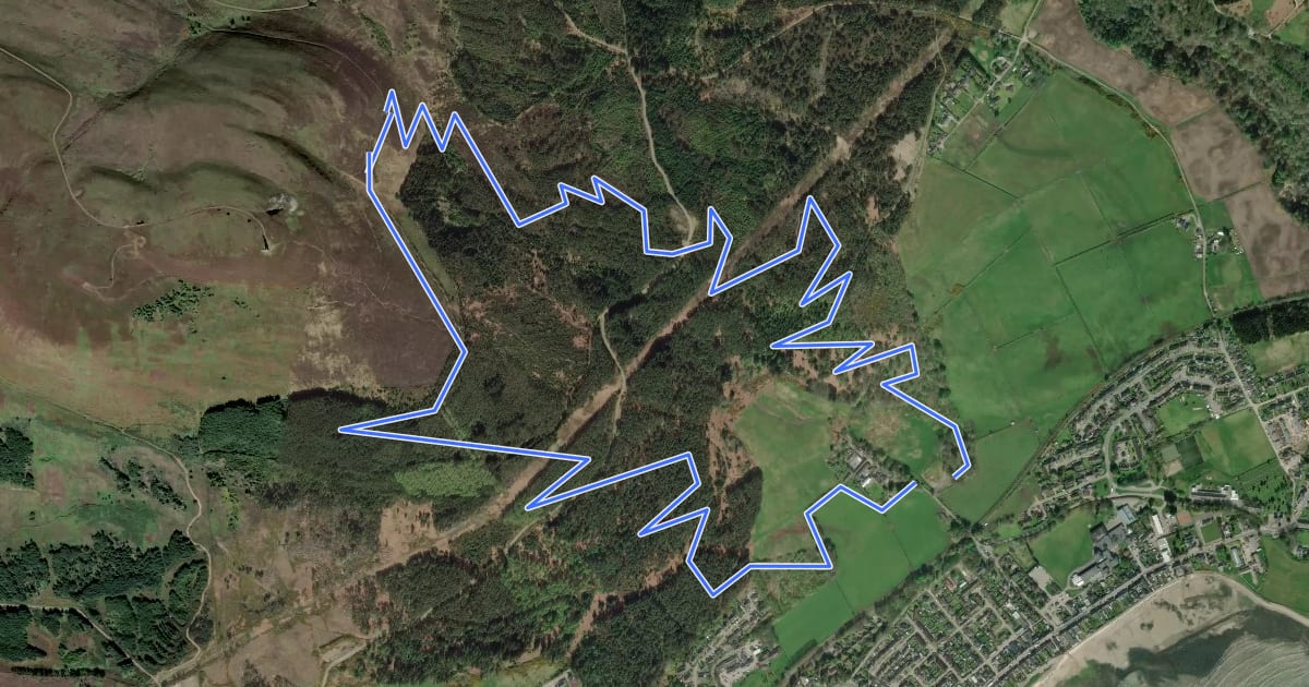 Маршрут Wildcat Trails Black Lynx на спутниковом снимке