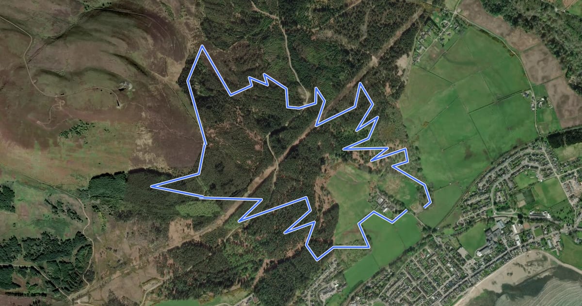 Маршрут Wildcat Trails Treeline на спутниковом снимке