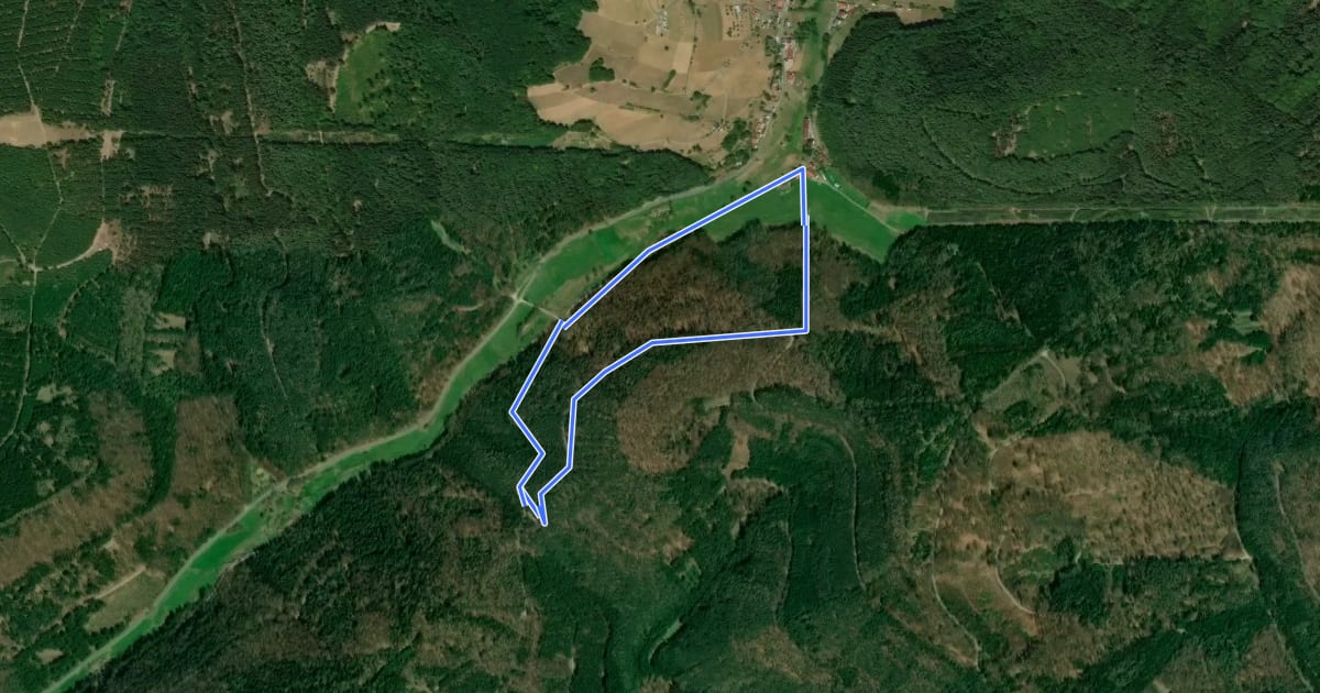 Маршрут Wildensee, Eichenblatt: Rundwanderweg на спутниковом снимке