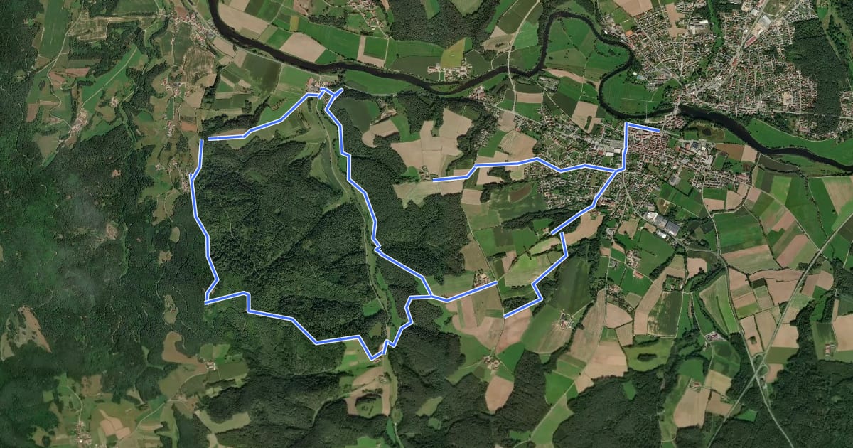 Маршрут Wilder Mann 002, Naturpark Vorderer Bayerischer Wald на спутниковом снимке