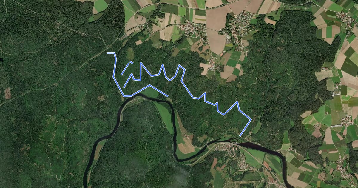 Маршрут Wilder Mann 006, Naturpark Vorderer Bayerischer Wald на спутниковом снимке