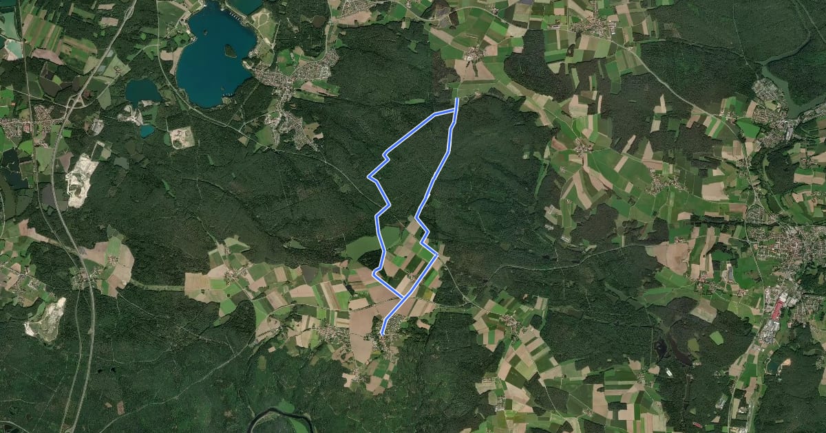 Маршрут Wilder Mann 007, St. Koloman-Wanderweg, Naturpark Vorderer Bayerischer Wald на спутниковом снимке