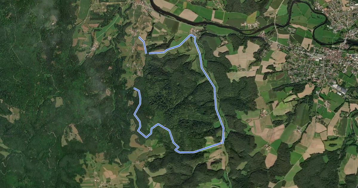 Маршрут Wilder Mann 011, Naturpark Vorderer Bayerischer Wald на спутниковом снимке