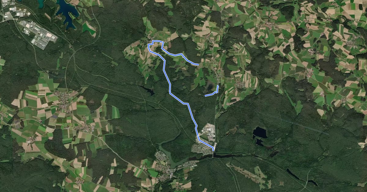 Маршрут Wilder Mann 013 »Taxölderner Weg«, Naturpark Vorderer Bayerischer Wald на спутниковом снимке