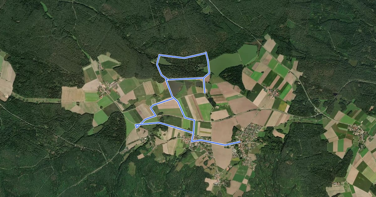 Маршрут Wilder Mann 018, Büchsenweiherweg, Naturpark Vorderer Bayerischer Wald на спутниковом снимке