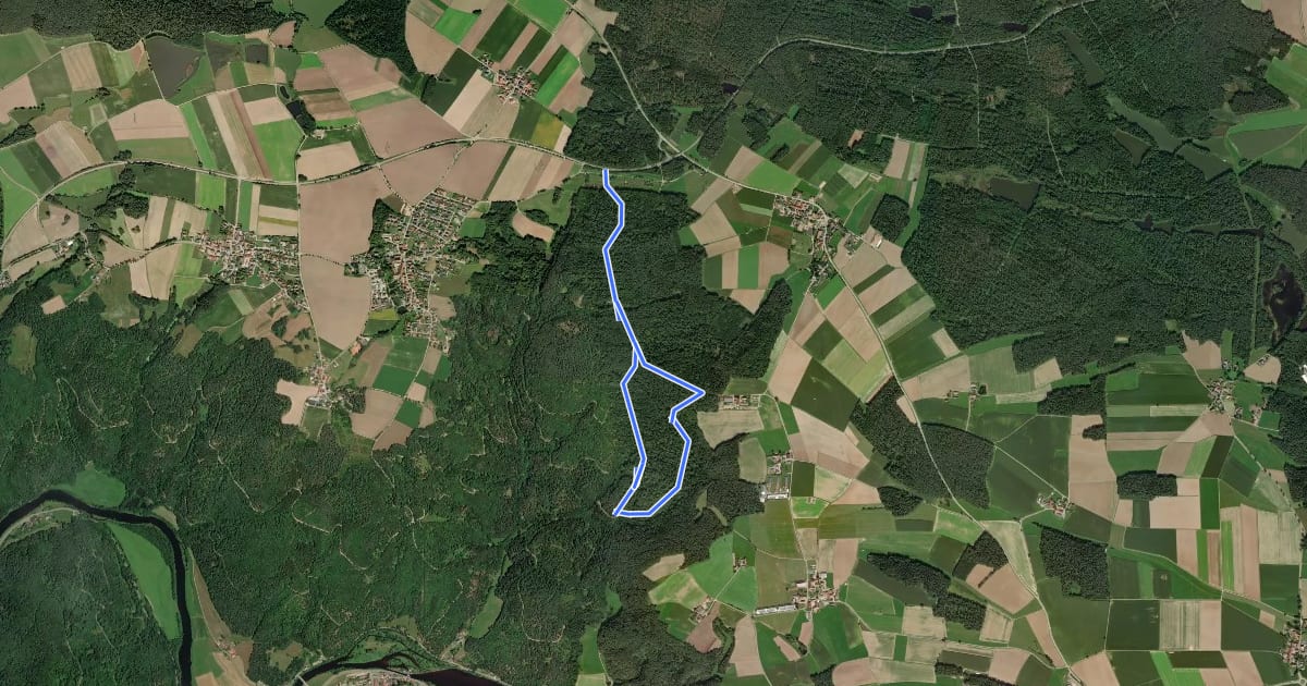 Маршрут Wilder Mann 021, Naturpark Vorderer Bayerischer Wald на спутниковом снимке