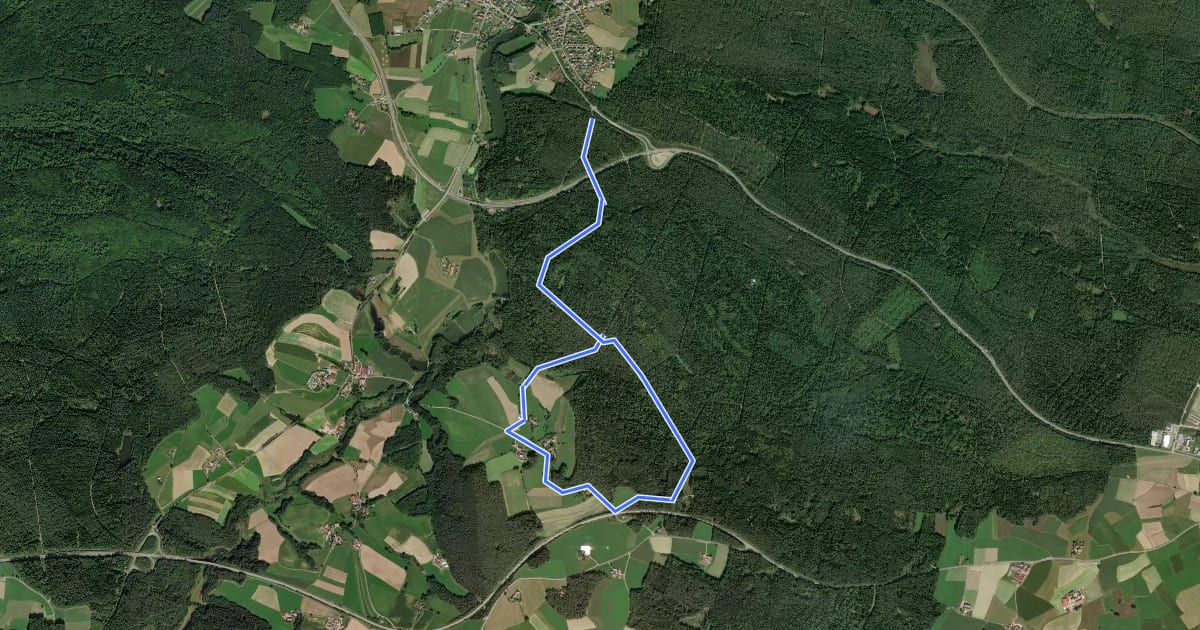 Маршрут Wilder Mann 055, Naturpark Vorderer Bayerischer Wald на спутниковом снимке