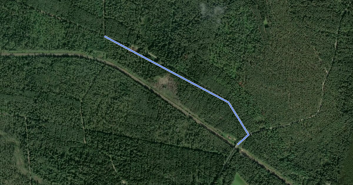 Маршрут Wilder Mann 058, Naturpark Vorderer Bayerischer Wald на спутниковом снимке