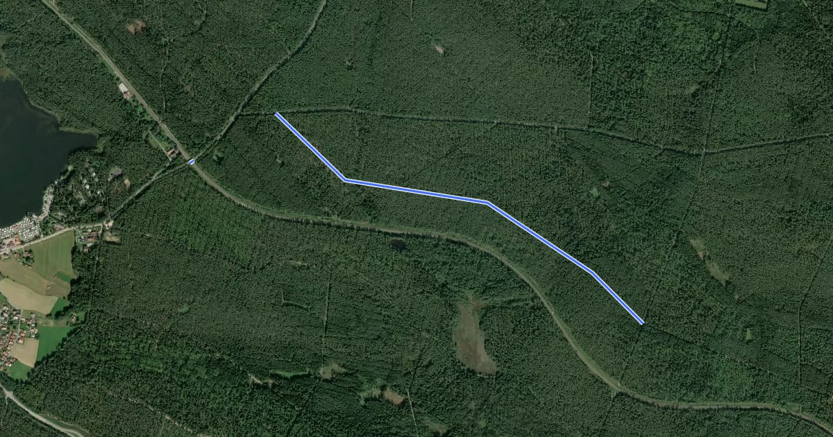 Маршрут Wilder Mann 061, Naturpark Vorderer Bayerischer Wald на спутниковом снимке