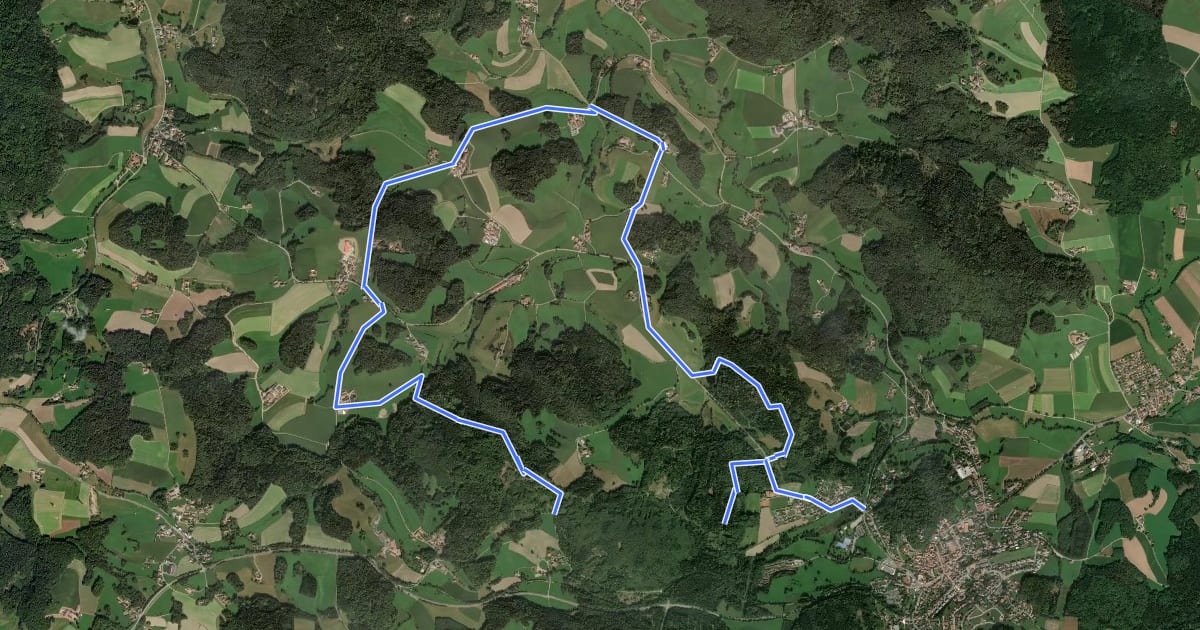 Маршрут Wilder Mann 114 »Mariensteinweg«, Naturpark Vorderer Bayerischer Wald на спутниковом снимке