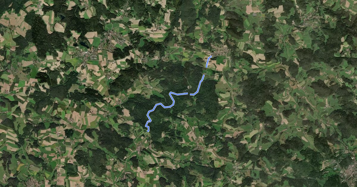 Маршрут Wilder Mann 124 »Hochholzweg«, Naturpark Vorderer Bayerischer Wald на спутниковом снимке