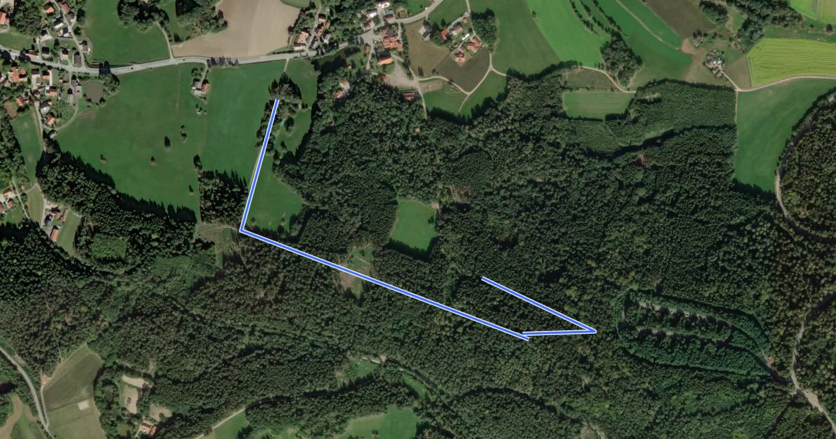 Маршрут Wilder Mann 126, Naturpark Vorderer Bayerischer Wald на спутниковом снимке