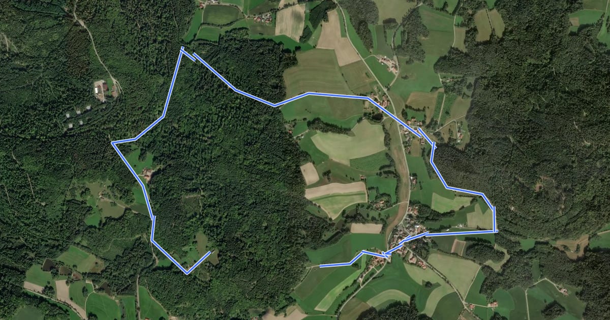 Маршрут Wilder Mann 128 »Hadriwaweg«, Naturpark Vorderer Bayerischer Wald на спутниковом снимке