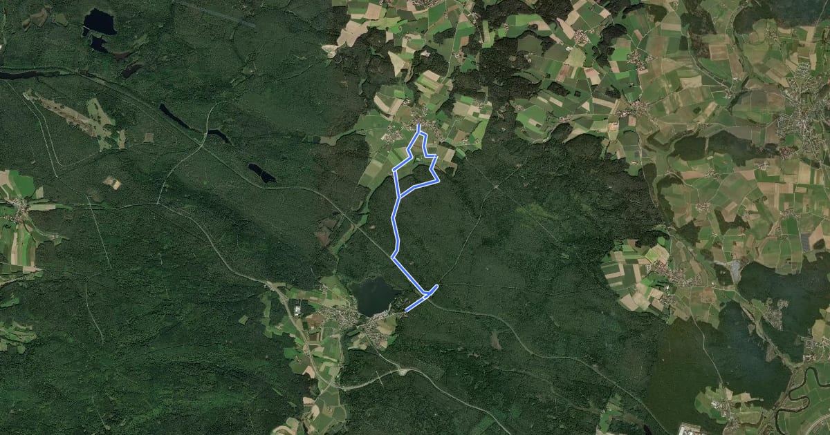 Маршрут Wilder Mann 136, Naturpark Vorderer Bayerischer Wald на спутниковом снимке
