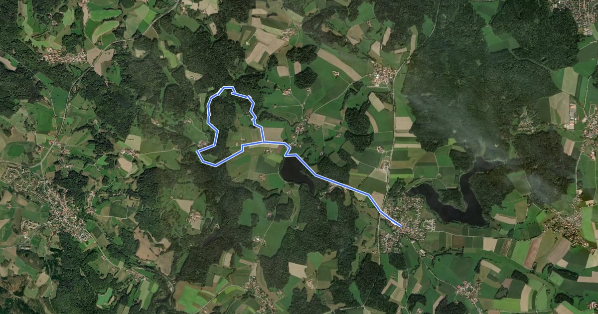 Маршрут Wilder Mann 149, Naturpark Vorderer Bayerischer Wald на спутниковом снимке