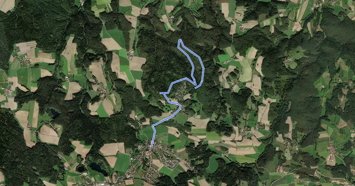 Маршрут Wilder Mann 153 / Wd 2 »Wilder-Mann-Weg«, Naturpark Vorderer Bayerischer Wald на спутниковом снимке
