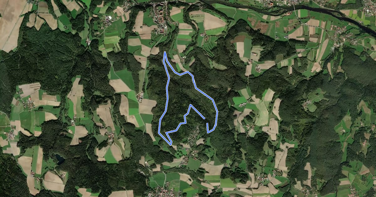 Маршрут Wilder Mann 47 / Re 4 »Pfaffen-Steinweg«, Naturpark Vorderer Bayerischer Wald на спутниковом снимке